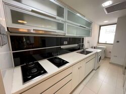 The Peak@Balmeg (D5), Condominium #569995461
